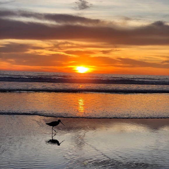 Meet your Posher, Linda - Picture 3 of 11